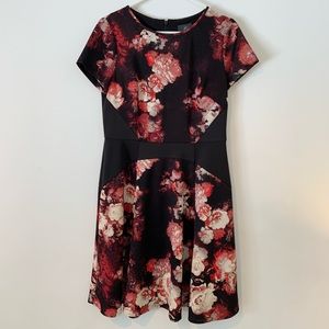 Excellent condition, Adrianna Papell scuba dress, size 10